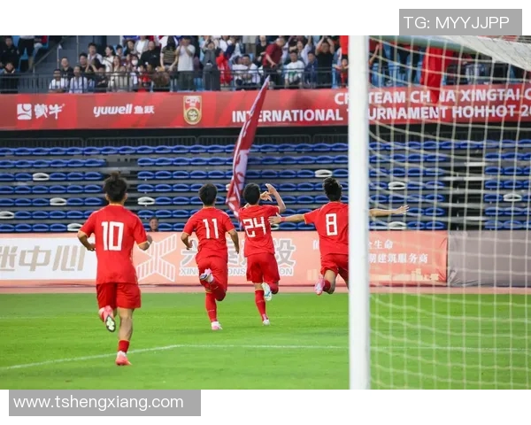 足球比赛中断引发的争议与反思球迷情绪如何影响赛场秩序与安全